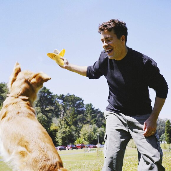 Dog Squeaky Toys, Plush Small Dog Toys for Dogs, Stuffed with Squeakers,12 pcs P - Picture 7 of 7